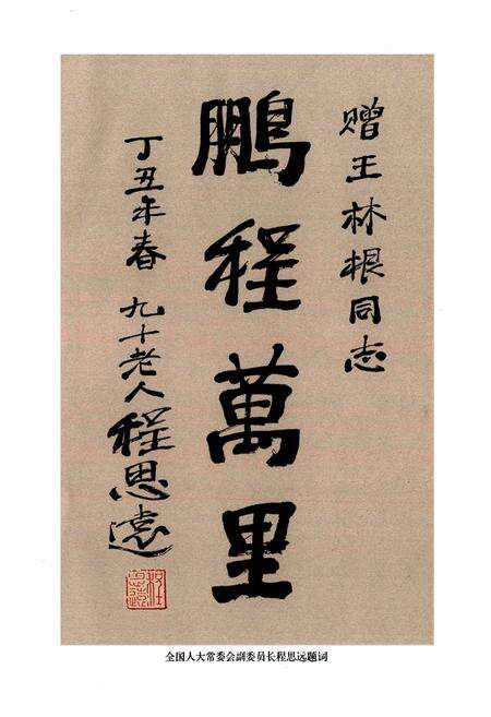 《浙江大梁山集团志》.pdf电子版_浙江省志预览图5