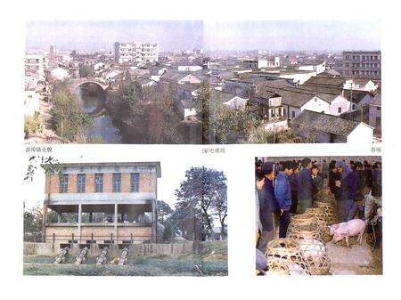 《兰溪游埠镇志》.pdf电子版_浙江省志预览图5