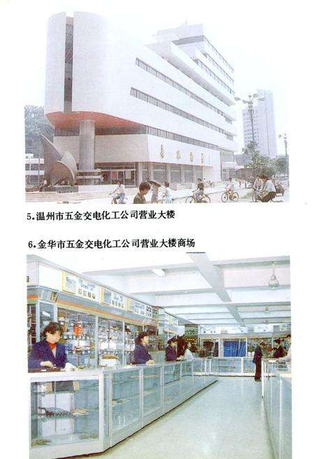 《浙江五金交电化工商业志》.pdf电子版_浙江省志预览图4