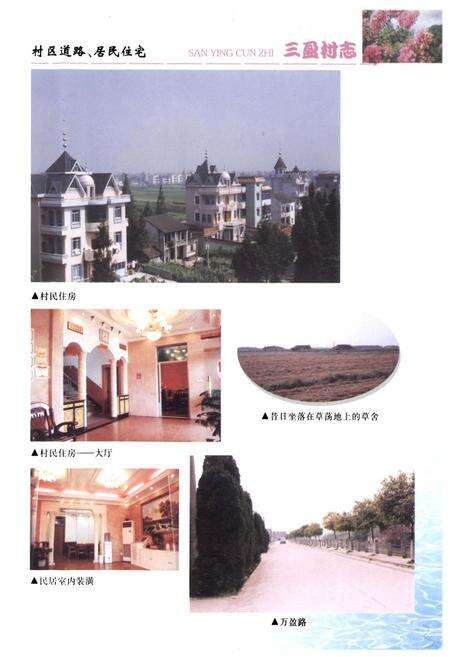 《三盈村志》.pdf电子版_浙江省志预览图4