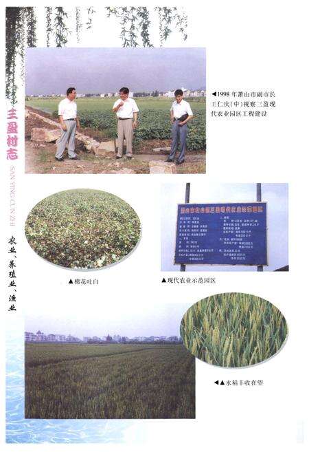 《三盈村志》.pdf电子版_浙江省志预览图5