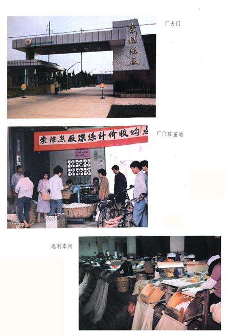 《崇德丝厂志》.pdf电子版_浙江省志预览图3