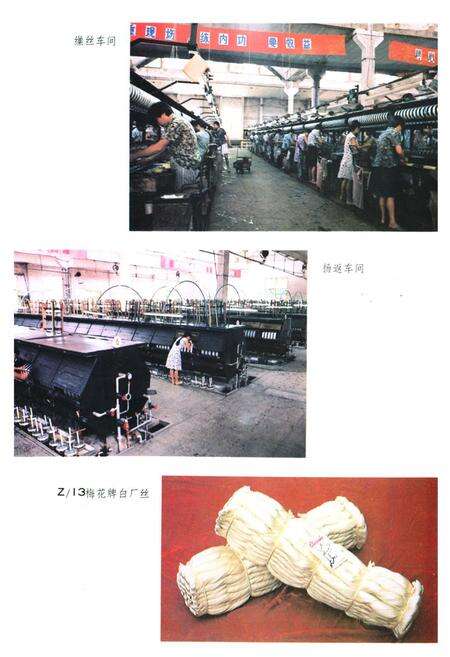 《崇德丝厂志》.pdf电子版_浙江省志预览图4