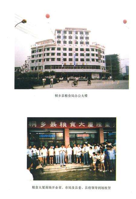 《桐乡市粮食志》.pdf电子版_浙江省志预览图3