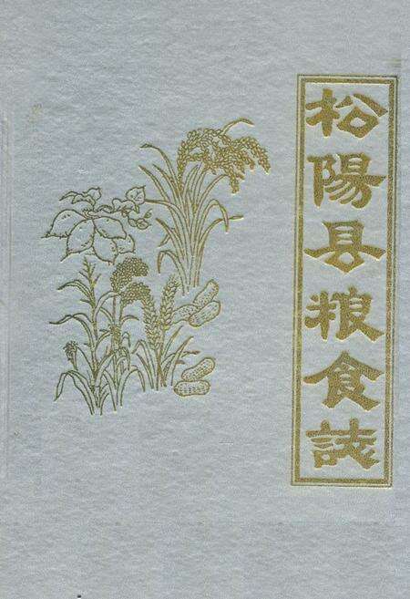 《《松阳县粮食志》》.pdf电子版_浙江省志缩略图