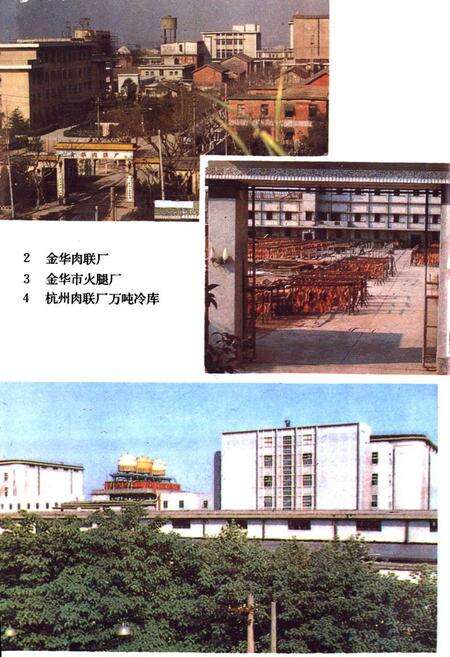 《浙江肉禽蛋商业志》.pdf电子版_浙江省志预览图4