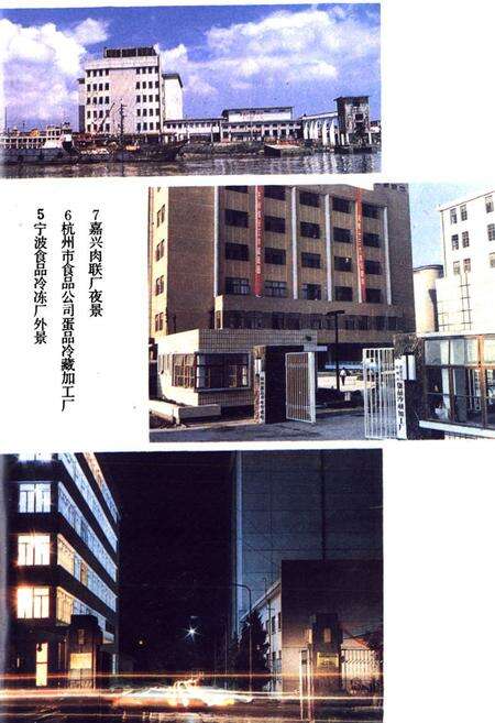 《浙江肉禽蛋商业志》.pdf电子版_浙江省志预览图5