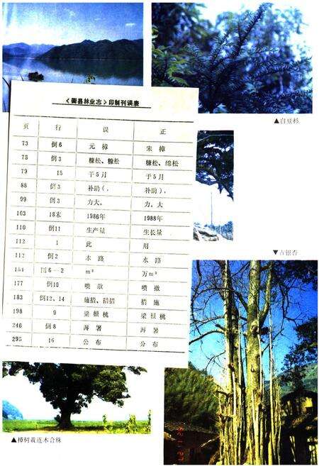 《忂县林业志》.pdf电子版_浙江省志预览图4