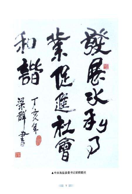 《海盐县水利志》.pdf电子版_浙江省志预览图2