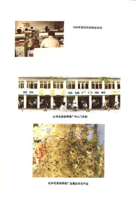 《杭州毛源昌眼镜厂厂志》.pdf电子版_浙江省志预览图5