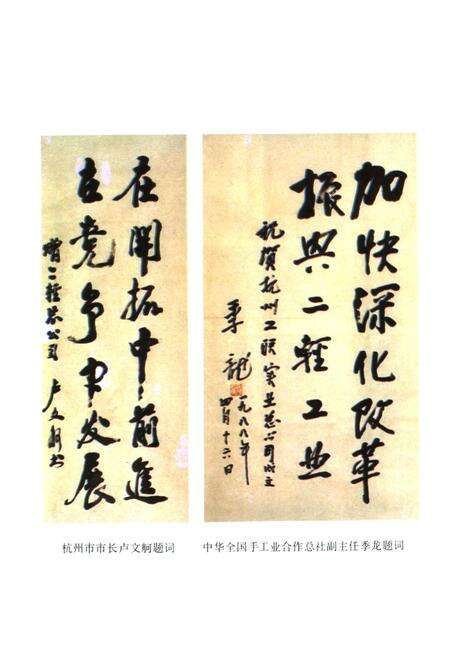 《杭州市二轻工业志》.pdf电子版_浙江省志预览图3