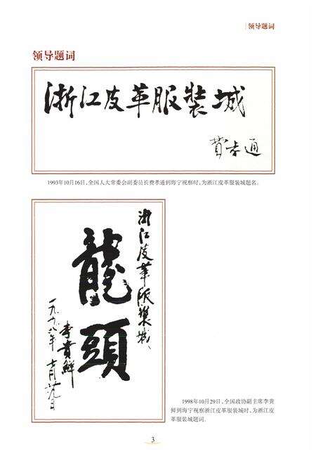 《《海宁皮革志》》.pdf电子版_浙江省志预览图2