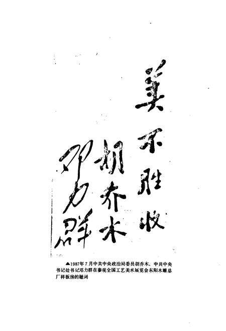 《东阳市二轻工业志》.pdf电子版_浙江省志预览图2