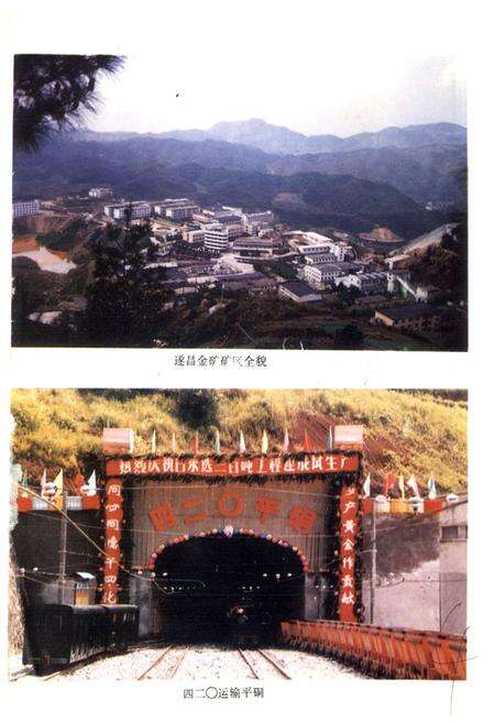 《浙江省遂昌金矿志》.pdf电子版_浙江省志预览图3