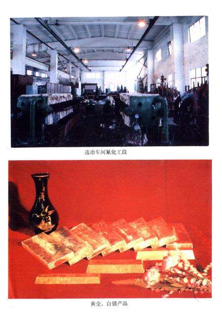 《浙江省遂昌金矿志》.pdf电子版_浙江省志预览图5