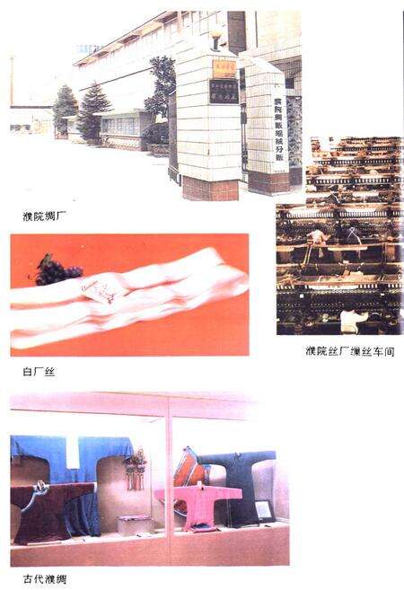 《濮院镇志》.pdf电子版_浙江省志预览图4