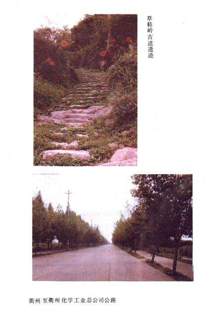 《衢县交通志》.pdf电子版_浙江省志预览图5