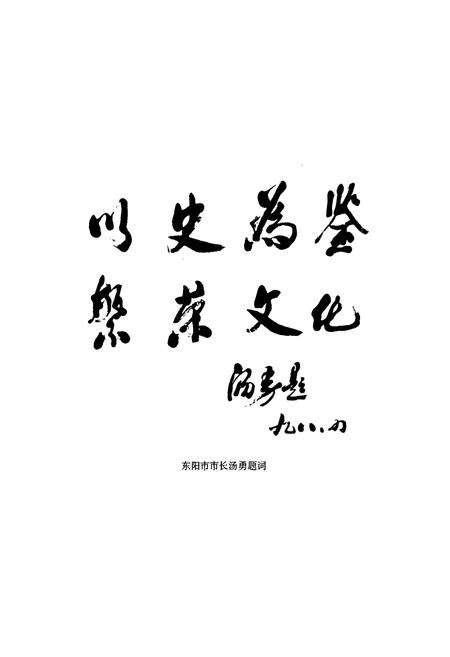 《东阳市文化志》.pdf电子版_浙江省志预览图4