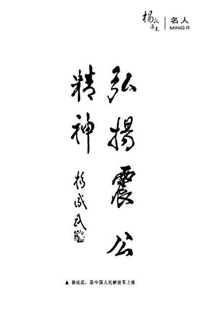 《苍南杨氏通志》.pdf电子版_浙江省志预览图2