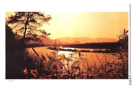 《嵊州市志(1986-2002)》.pdf电子版_浙江省志预览图3