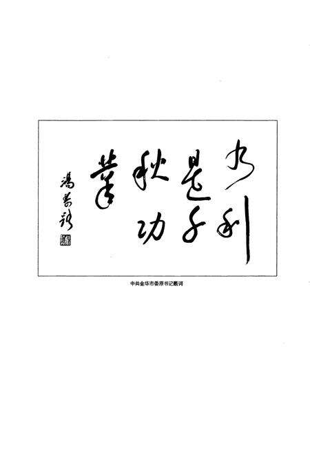 《金华市水利续志(1991~2004)》.pdf电子版_浙江省志预览图2