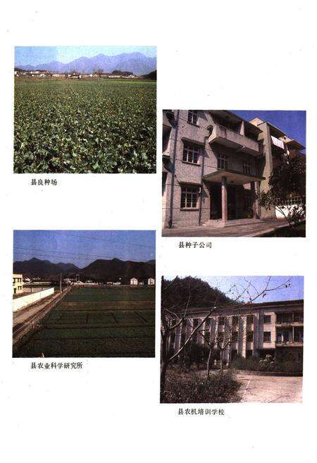 《《桐庐县农业志》》.pdf电子版_浙江省志预览图5