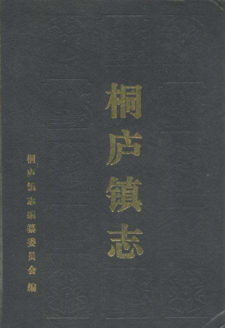 《《桐庐镇志》》.pdf电子版_浙江省志缩略图