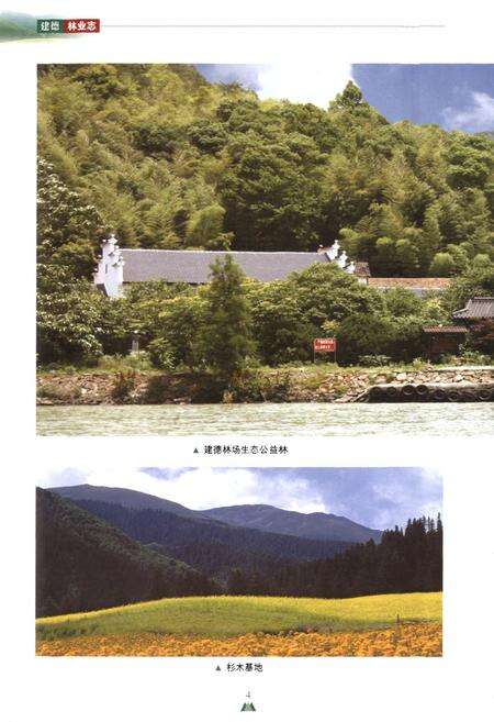 《建德林业志》.pdf电子版_浙江省志预览图5