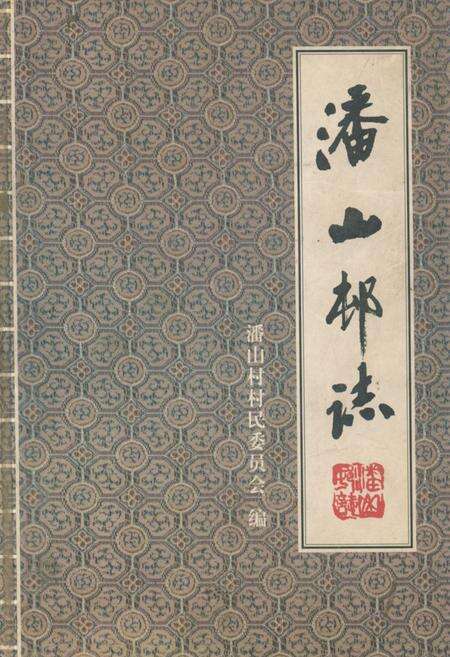 《《潘山村志》》.pdf电子版_浙江省志缩略图