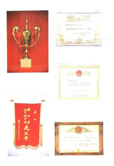 《《东阳市卫生志》》.pdf电子版_浙江省志预览图5