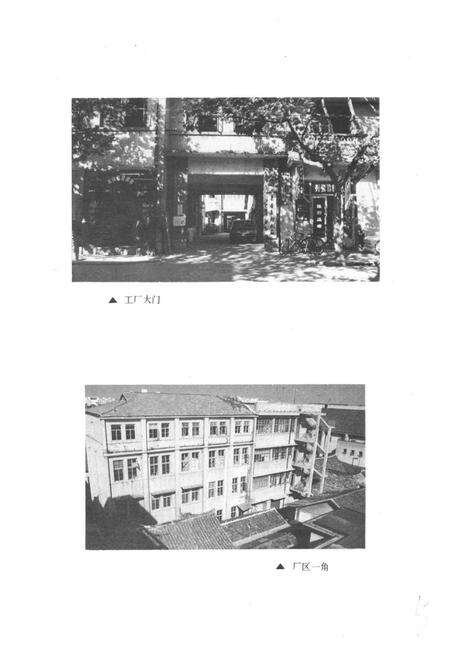 《嘉善县印刷厂志1952-1989》.pdf电子版_浙江省志预览图3