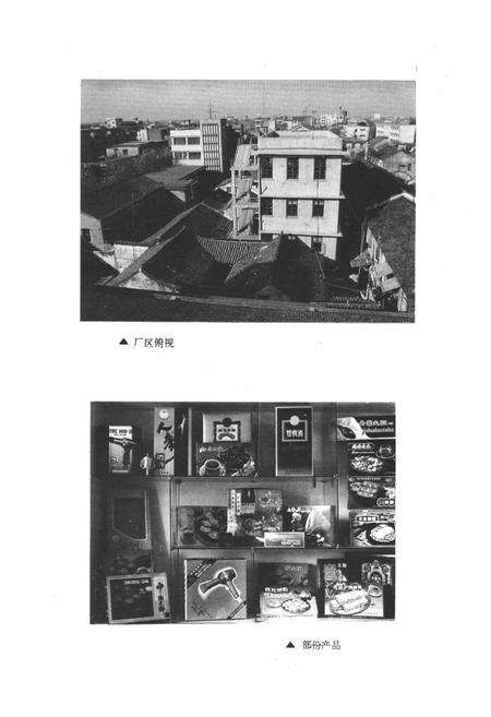 《嘉善县印刷厂志1952-1989》.pdf电子版_浙江省志预览图4