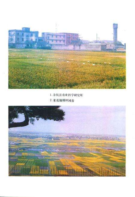 《余杭县农业志》.pdf电子版_浙江省志预览图1