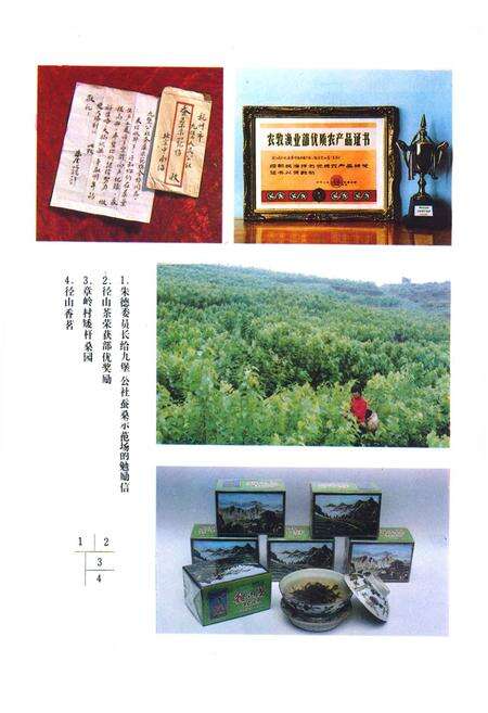 《余杭县农业志》.pdf电子版_浙江省志预览图2