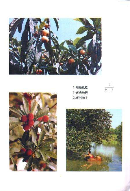 《余杭县农业志》.pdf电子版_浙江省志预览图3