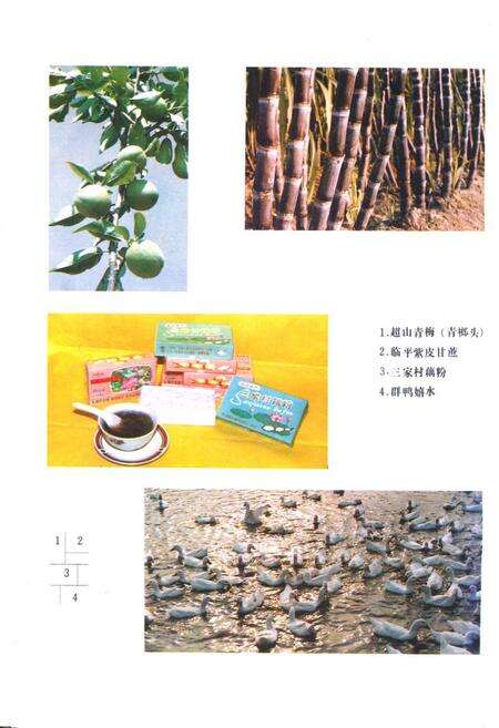 《余杭县农业志》.pdf电子版_浙江省志预览图4