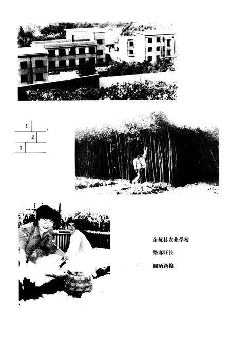 《余杭县农业志》.pdf电子版_浙江省志预览图5