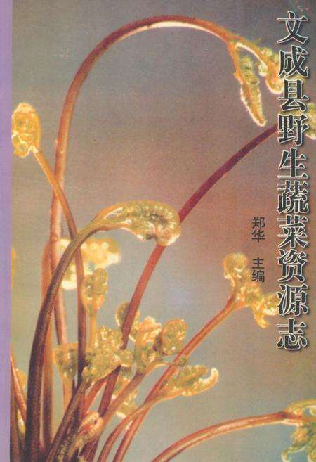《文成县野生蔬菜资源志》.pdf电子版_浙江省志缩略图