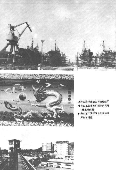 《舟山工业志》.pdf电子版_浙江省志预览图3