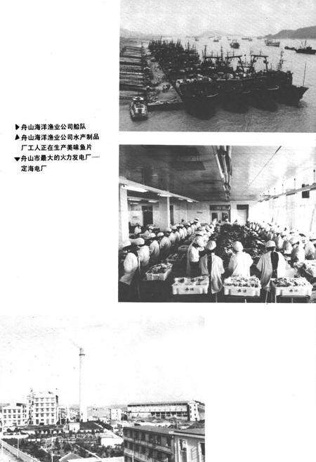 《舟山工业志》.pdf电子版_浙江省志预览图4