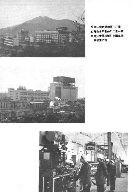 《舟山工业志》.pdf电子版_浙江省志预览图5