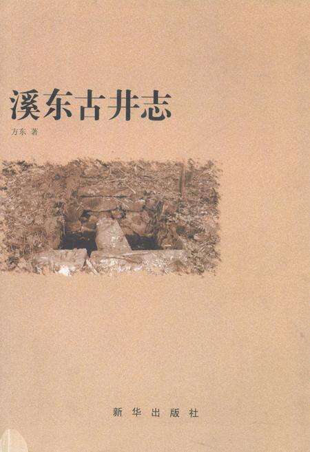 《溪东古井志》.pdf电子版_浙江省志缩略图
