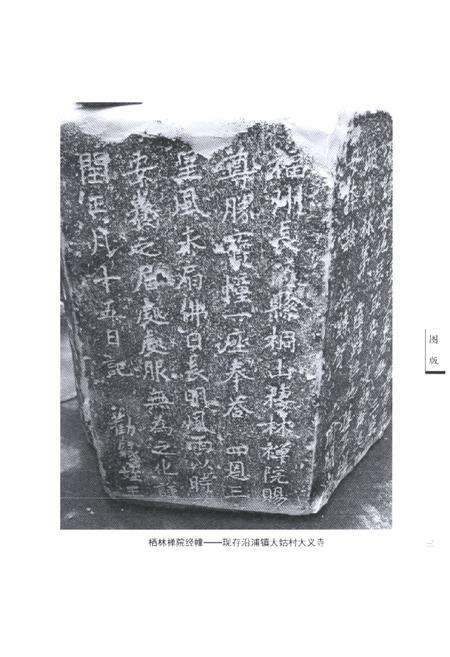 《苍南金石志》.pdf电子版_浙江省志预览图5