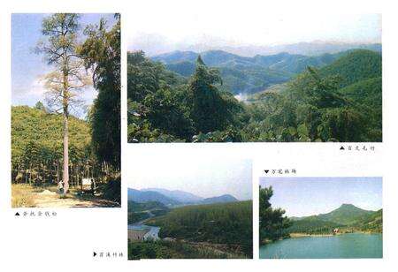 《余杭县林业志1910-1987年》.pdf电子版_浙江省志预览图3