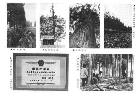 《余杭县林业志1910-1987年》.pdf电子版_浙江省志预览图4