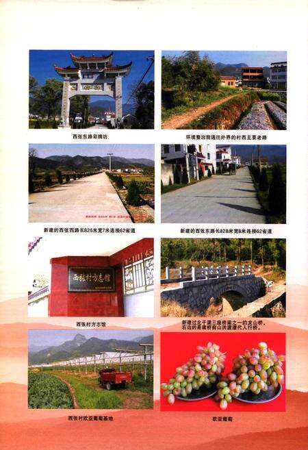 《西张村志》.pdf电子版_浙江省志预览图3