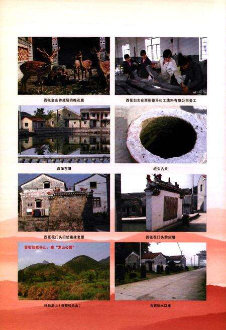 《西张村志》.pdf电子版_浙江省志预览图5