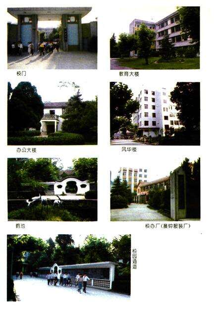 《嵊县中学校志》.pdf电子版_浙江省志预览图5