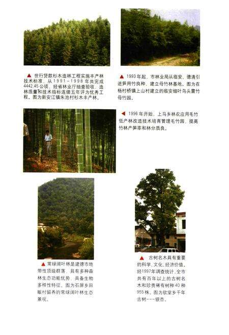 《建德市林业科技志》.pdf电子版_浙江省志预览图4