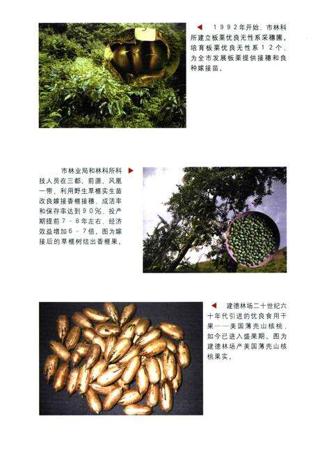 《建德市林业科技志》.pdf电子版_浙江省志预览图5